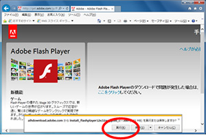 AdobeFlashPlayeȑ̉4