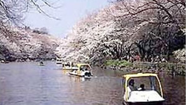 日本で最初の郊外公園として開園した井の頭恩賜公園（三鷹市ホームページより）