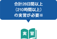 合計28日間以上（210時間以上）の実習が必要※